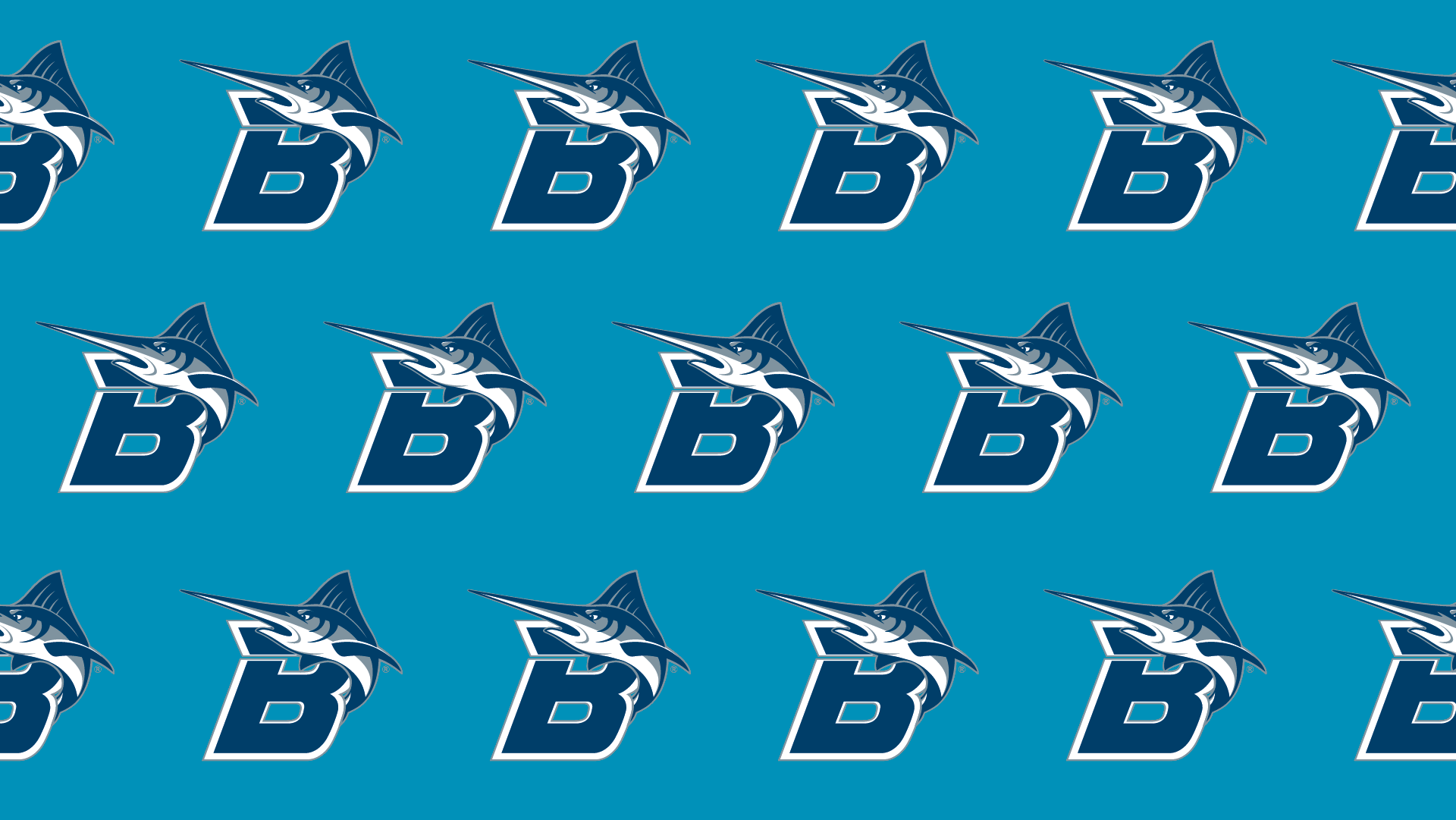 Batten University Athletics virtual meeting background