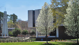 Spring Into Action