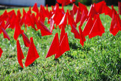 Red Flags Encourage Students to “Say Something”