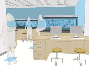 Virginia Wesleyan Awarded Prestigious National Science Foundation Grant