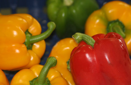 Ripe with Possibility