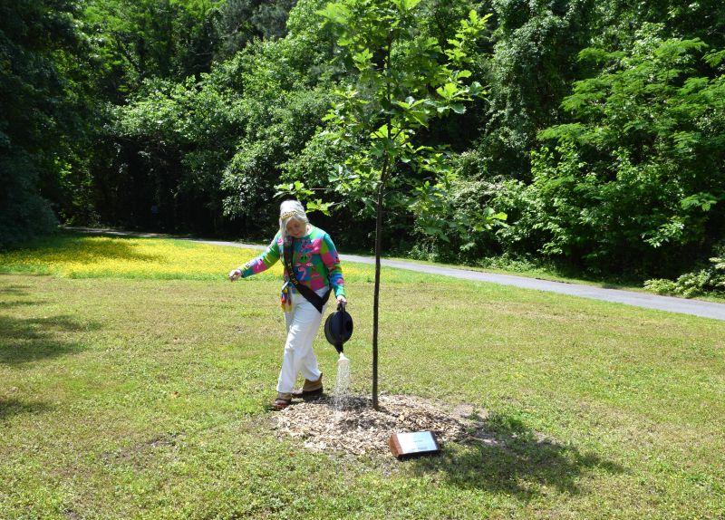 Retiring Faculty Honored with Tree Plantings in Wilson Arboretum